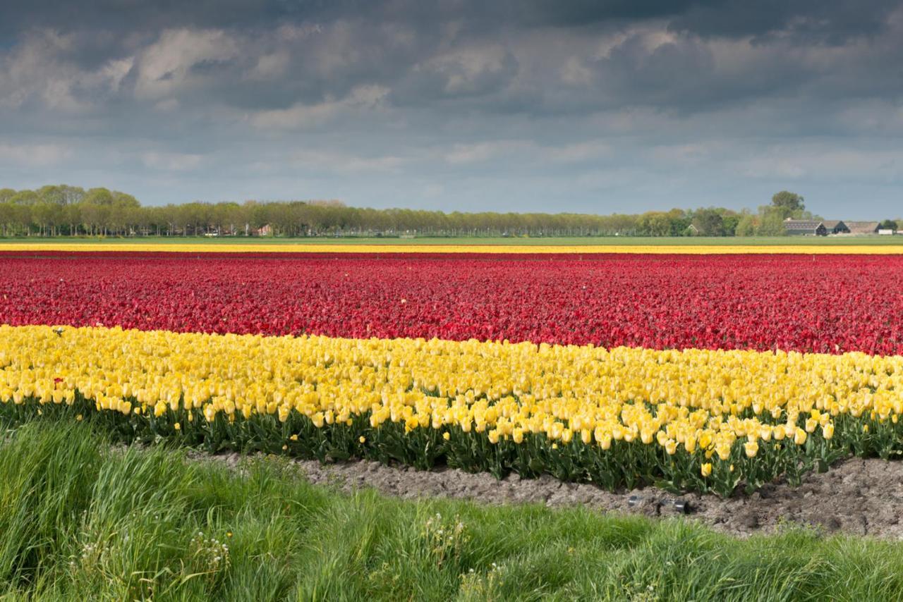 Buitenplaats Langewijk Zuidoostbeemster Exterior foto